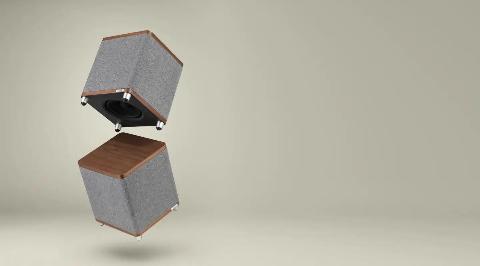 RUARK RS1 rich walnut Subwoofer